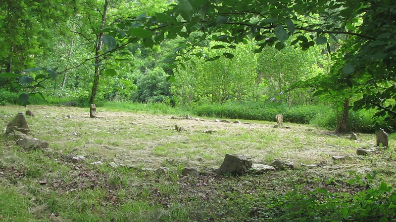la roue celtique des arbres