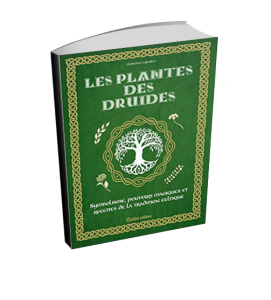 "Les plantes des druides : symbolisme, pouvoirs magiques et recettes de la tradition celtique" - Editions Rustica 