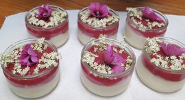 livre recettes plantes sauvages